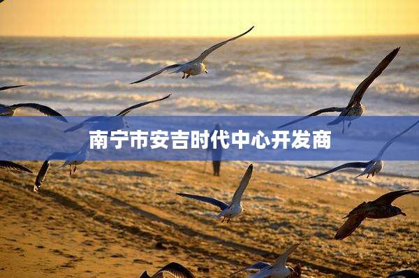 南宁市安吉时代中心开发商