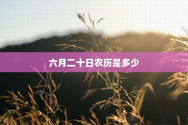 六月二十日农历是多少