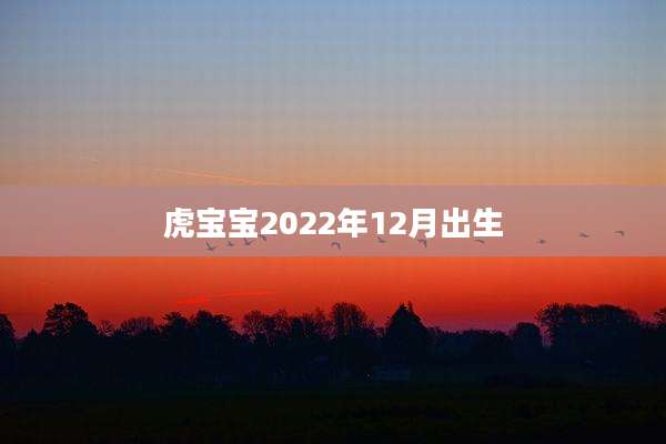 虎宝宝2022年12月出生