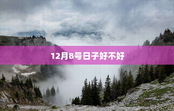 12月8号日子好不好