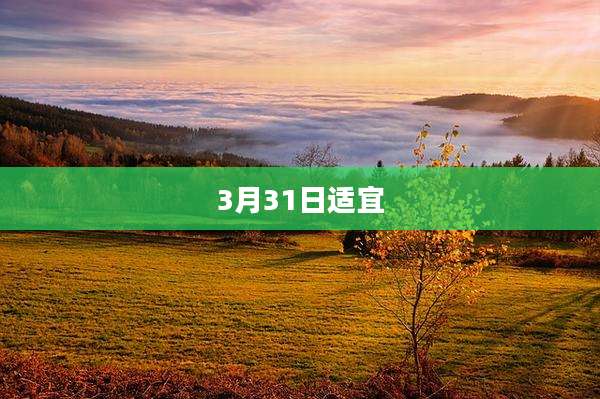 3月31日适宜