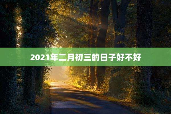 2021年二月初三的日子好不好