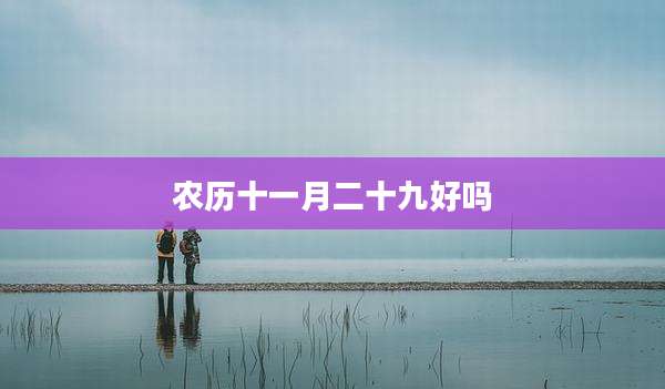 农历十一月二十九好吗