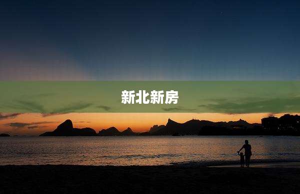 新北新房