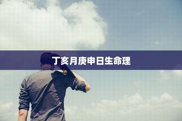 丁亥月庚申日生命理