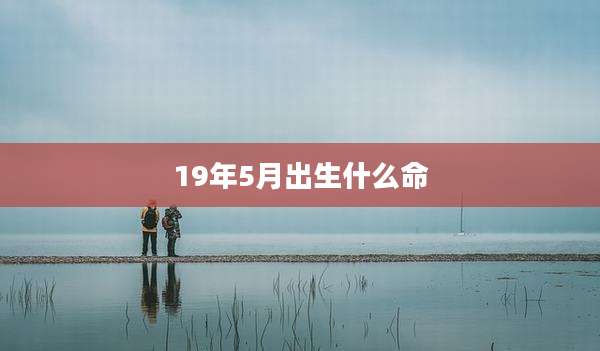 19年5月出生什么命
