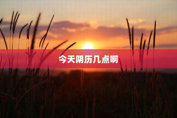 今天阴历几点啊