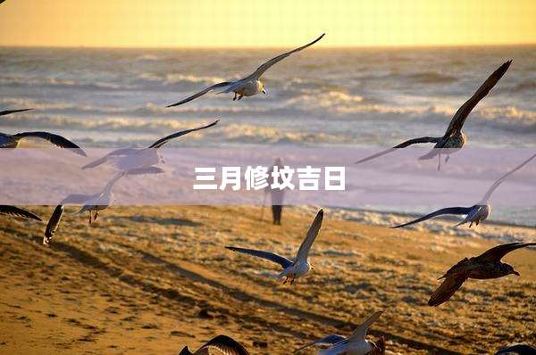 三月修坟吉日