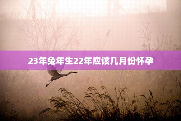 23年兔年生22年应该几月份怀孕