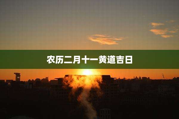 农历二月十一黄道吉日
