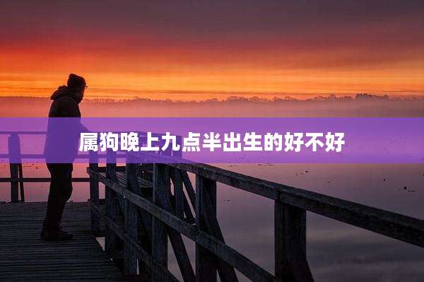 属狗晚上九点半出生的好不好