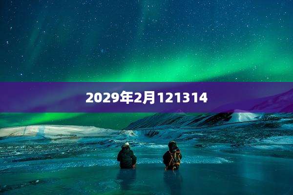2029年2月121314