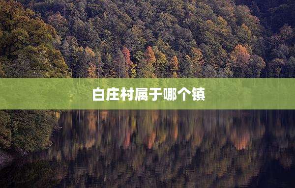 白庄村属于哪个镇