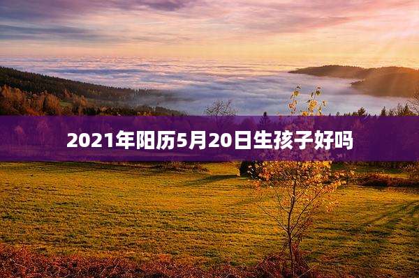 2021年阳历5月20日生孩子好吗