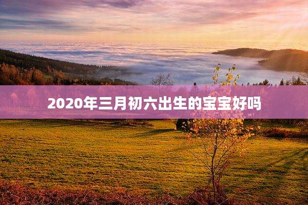 2020年三月初六出生的宝宝好吗