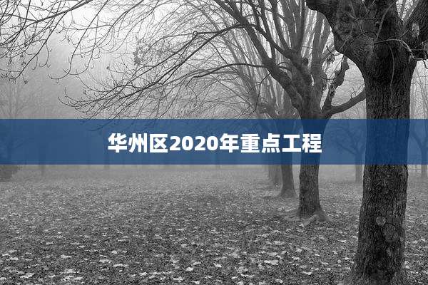 华州区2020年重点工程