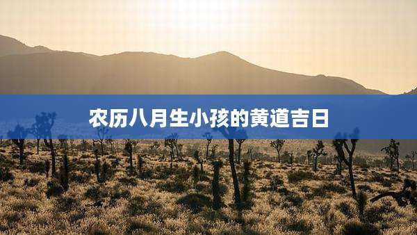 农历八月生小孩的黄道吉日