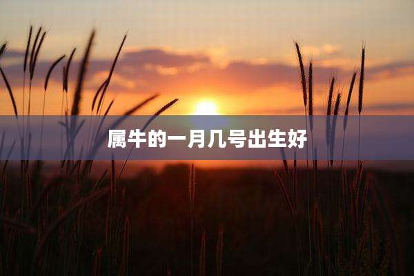 属牛的一月几号出生好