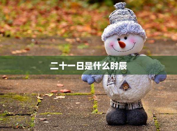 二十一日是什么时辰