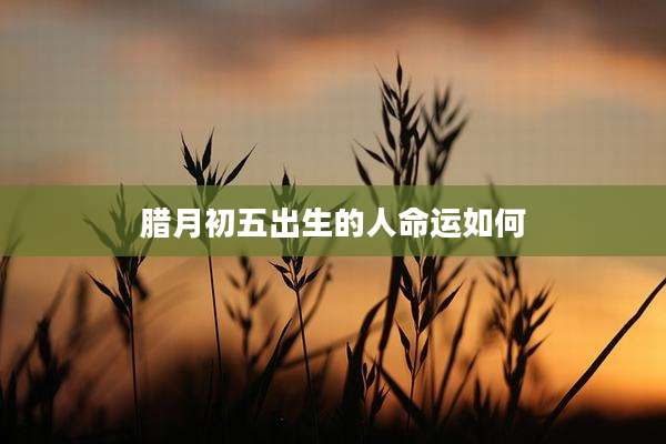 腊月初五出生的人命运如何