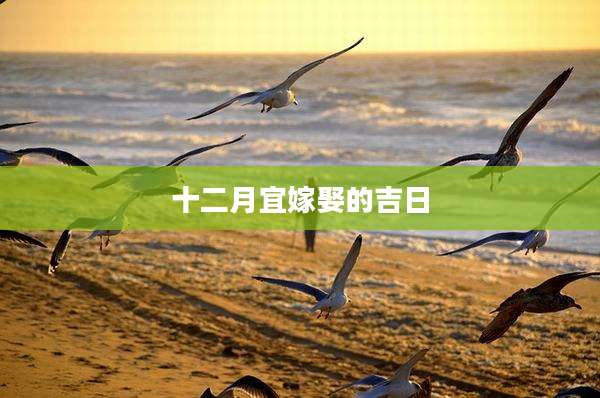 十二月宜嫁娶的吉日
