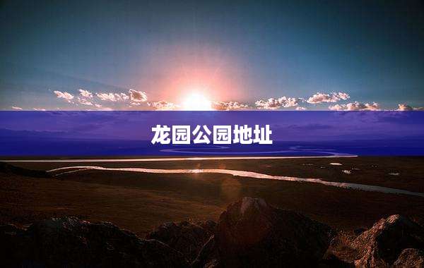 龙园公园地址