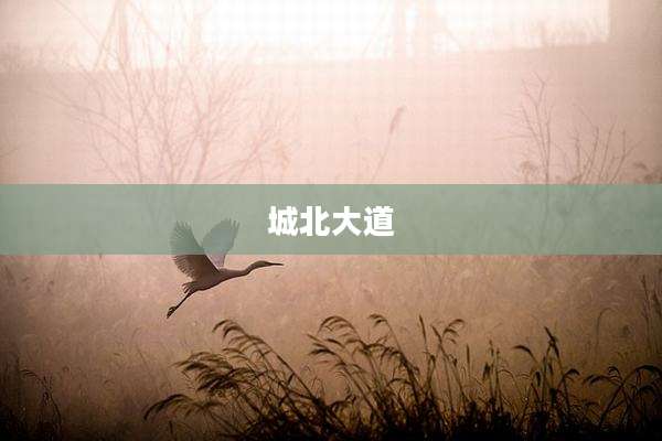 城北大道