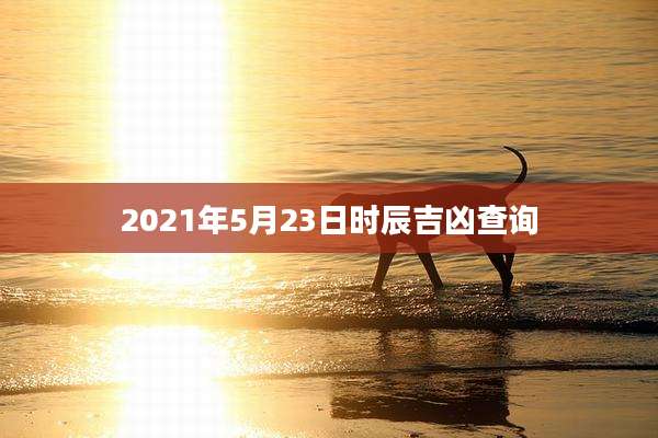 2021年5月23日时辰吉凶查询