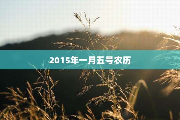 2015年一月五号农历