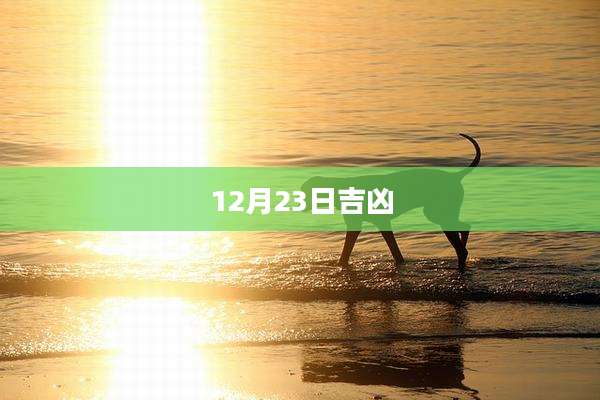 12月23日吉凶