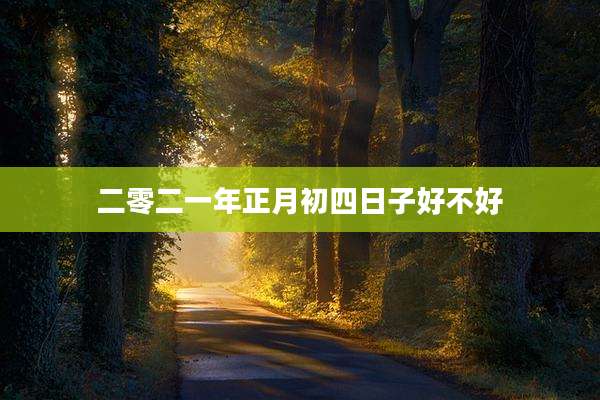 二零二一年正月初四日子好不好
