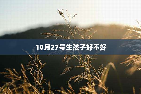 10月27号生孩子好不好