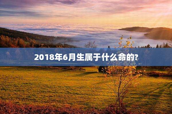 2018年6月生属于什么命的?