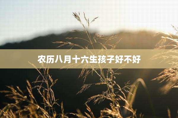 农历八月十六生孩子好不好