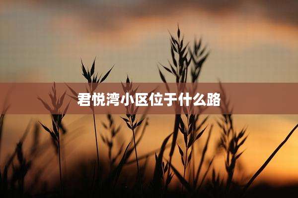 君悦湾小区位于什么路