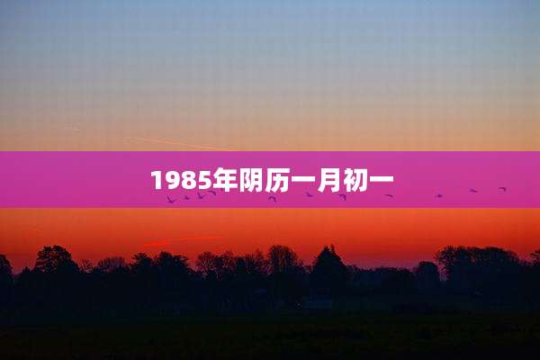 1985年阴历一月初一