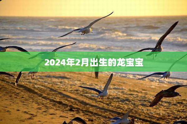 2024年2月出生的龙宝宝