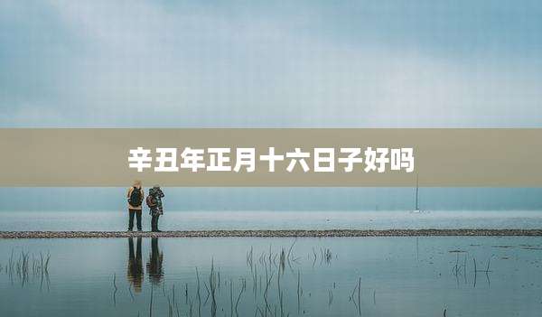辛丑年正月十六日子好吗