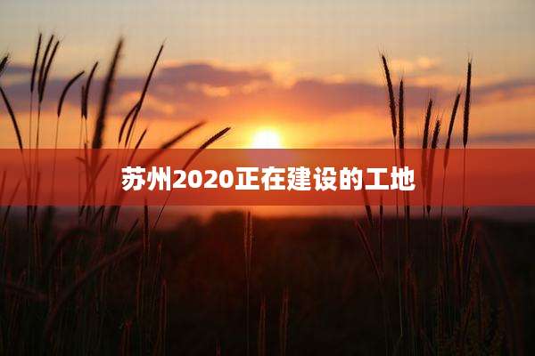 苏州2020正在建设的工地