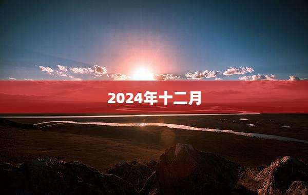 2024年十二月