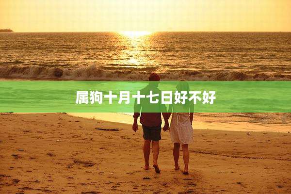 属狗十月十七日好不好