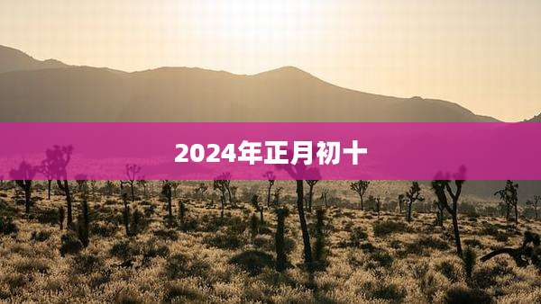 2024年正月初十
