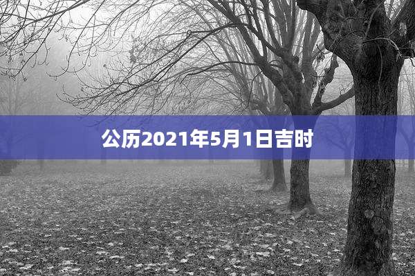 公历2021年5月1日吉时