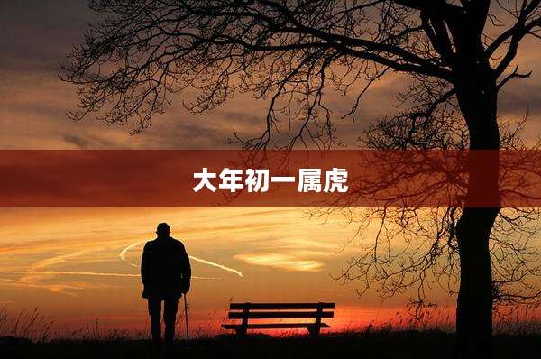 大年初一属虎