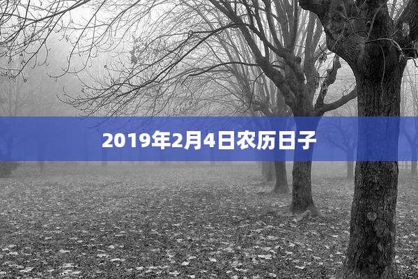2019年2月4日农历日子