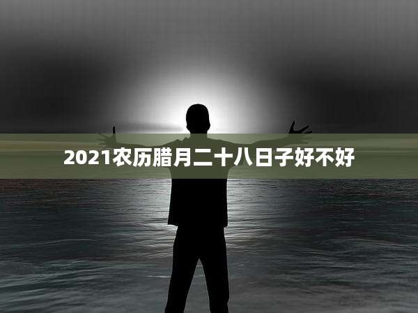 2021农历腊月二十八日子好不好