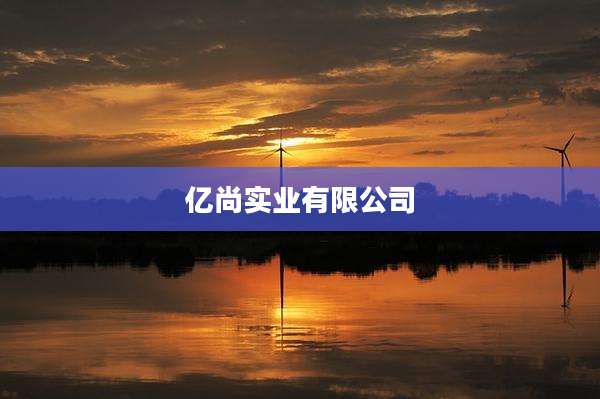 亿尚实业有限公司