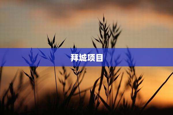 拜城项目