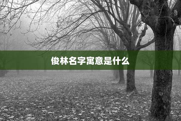 俊林名字寓意是什么