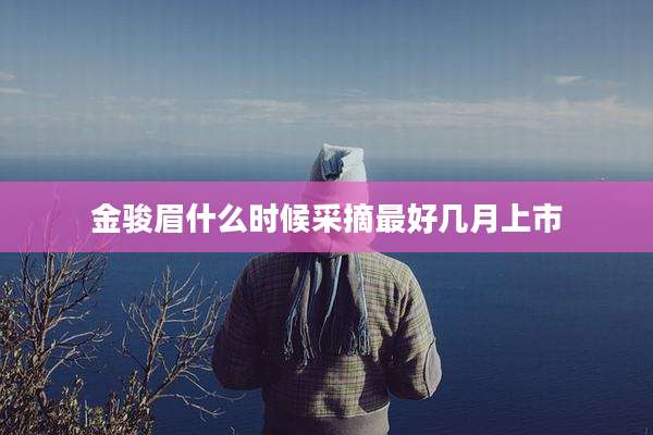 金骏眉什么时候采摘最好几月上市